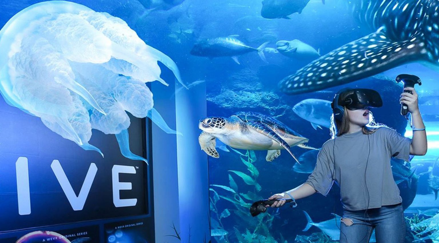 Dubai Mall Aquarium